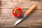 Fresh tomato and steel knife