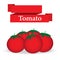 Fresh tomato on white background vector