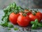 Fresh tomatoes with basil and peppercorns on grey table, closeup.