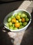 the fresh tomatoes colour red and green from the garden