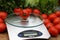 Fresh tomatoes on kitchen scales weighing