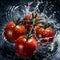 Fresh tomatoes with water splash product Shot