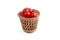 Fresh tomatoes in wood basket isolated white background