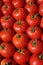 Fresh tomatos for sale in a market