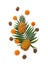 Fresh tropic fruits orange mandarines, green kiwi, pineapples on palm tree leaf on white background. Top view, flat lay