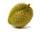 Fresh tropical durian fruit