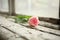 Fresh tulip on the old windowsill