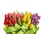 Fresh tulips with water drops. Spring flowers