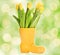 Fresh tulips in yellow vase