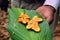 Fresh tumeric on a banana leaf, Spice tour, Zanzibar, Africa