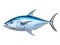 Fresh tuna fish isolated