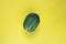Fresh Ugly triple green organic cucumber, Vegetable with unusual shape on yellow empty background with open composition. Buying