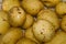 Fresh Uncooked Salad Potatoes Up Close In Water