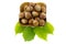 Fresh unshelled hazelnuts in a wooden plate