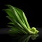 Fresh, untouched and natural lemon grass leaf, in the style of contemporary candy