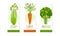 Fresh Vegetable Juice Labels Set, Celery, Carrot, Broccoli Juice Badges, Packaging Design Templates Cartoon Style Vector