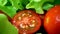 fresh vegetable salad - tomato with lettuce. closeup