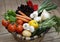 Fresh vegetables in a basket