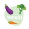 Fresh Vegetables carrots, broccoli,eggplant. Vector illustration.
