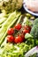 Fresh vegetables and chicken meat on a table