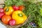 Fresh vegetables covered with water drops in basket.