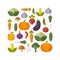 Fresh vegetables. Diet and organic food concept. Vector illustration