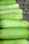 Fresh vegetables - green hatch in the market.