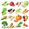 Fresh Vegetables Icon Set