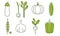 Fresh Vegetables Icons Set, Eggplant, Onion, Garlic, Cucumber, Pepper, Radish, Green Peas, Pumpkin, Organic Healthy Food