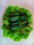 Fresh vegetables. Lettuce leaves, cucumber. White background