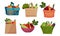 Fresh Vegetables in Paper Bag and Plastic Basket Vector Set