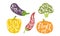 Fresh Vegetables Prints Set, Eggplant, Broccoli, Pepper, Pumpkin Grunge Style Vector Illustration