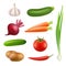 Fresh vegetables products. Healthy vegan agriculture food potato carrot cooking ingredients vector isolated realistic