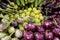 Fresh veggie basket from the Colaba Market farmer`s market: onions, aubergines, scallions, shallots, lady`s fingers