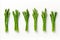 Fresh and vibrant asparagus on a clean white background for advertisements and packaging designs