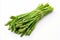 Fresh and vibrant asparagus on a clean white background for advertisements and packaging designs