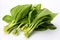 Fresh and vibrant bok choy on white backdrop for captivating ads and packaging designs