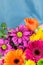Fresh vibrant brightly coloured florist flowers. Copy space.