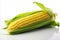 Fresh and vibrant corn on white background for captivating advertisements and packaging designs