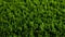 Fresh and vibrant green artificial grass texture background for design and decoration