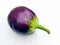 A fresh violet brinjal vegitable isolated put on white background