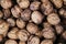 fresh wallnuts texture