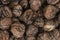 Fresh walnuts in a metal basket