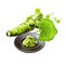 Fresh wasabi root, raw wasabi for japanese food. Japanese horseradish, condiment for sushi, sashimi on the plate isolate on white