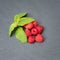 Fresh washed raspberries and mint leaves. Organic berries on grey slate stone board. Top view.