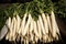 Fresh washed white radish at the vegetable market