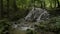 Fresh water flows from cascade through the rocks in fertile forest.