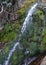Fresh water and green moss in mountain creek