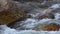 Fresh water mountain stream white water hd