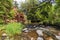 Fresh water stream at Allens Bend trail at Sedona